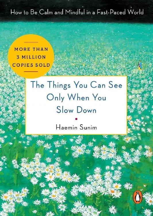 The Things You Can See Only When You Slow Down: How to Be Calm and Mindful in a Fast-Paced World