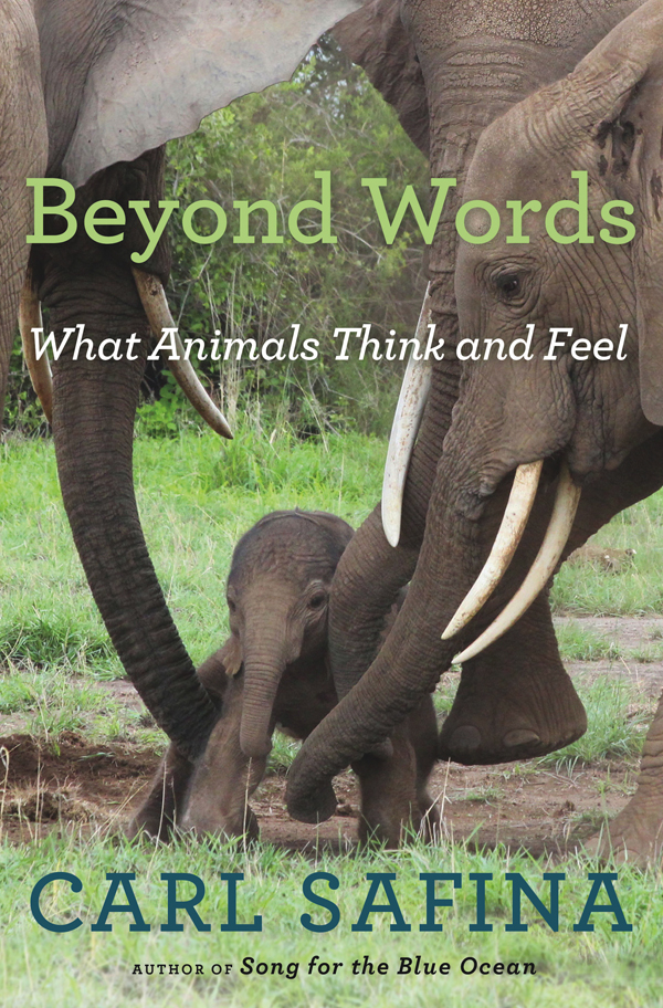 Beyond Words : What Animals Think and Feel