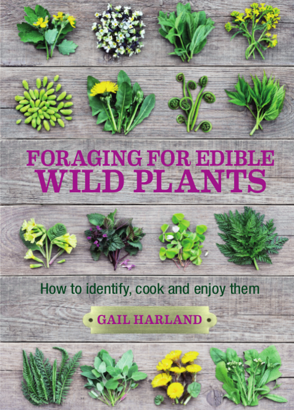Foraging for Edible Wild Plants